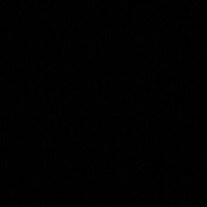 Meet your Posher, Daisy